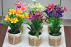 Artificial Flower Pot – Per Piece