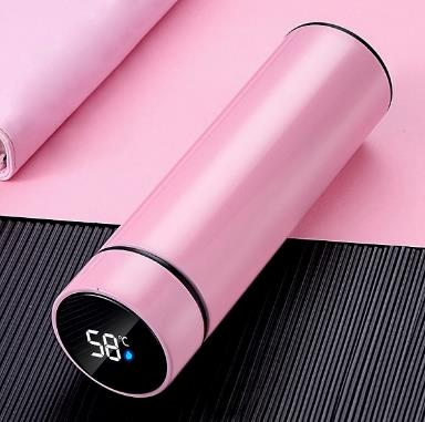 Vacuum Bottle with LED Display