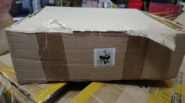 Small Kitty Showpiece