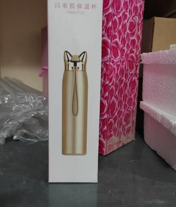 Cute Cat Ears Water Bottle – 320 ML