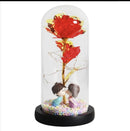 Rose with LED Fairy Lights – Forever Rose in Glass Dome
