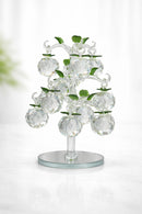 Crystal 12 Apple Tree